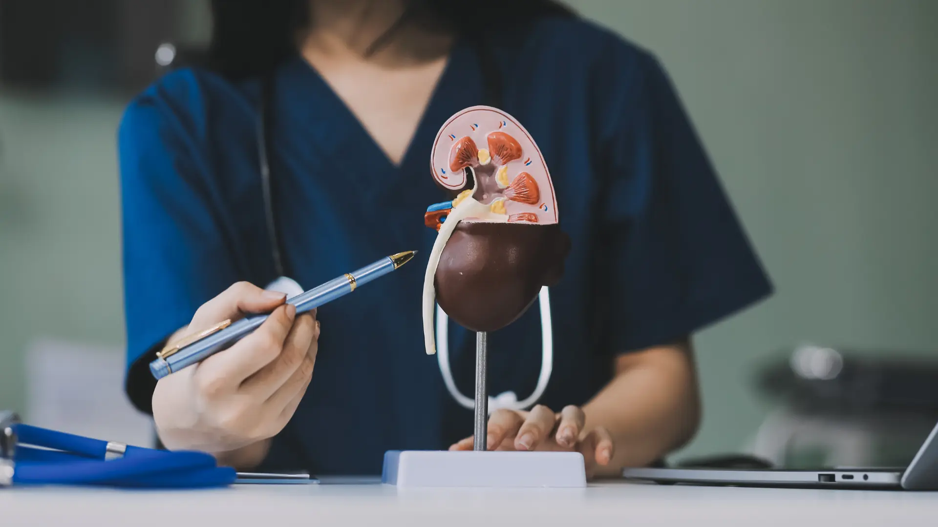 Analiza kamena iz bubrega i mokraćnih puteva i metaboličko ispitivanje