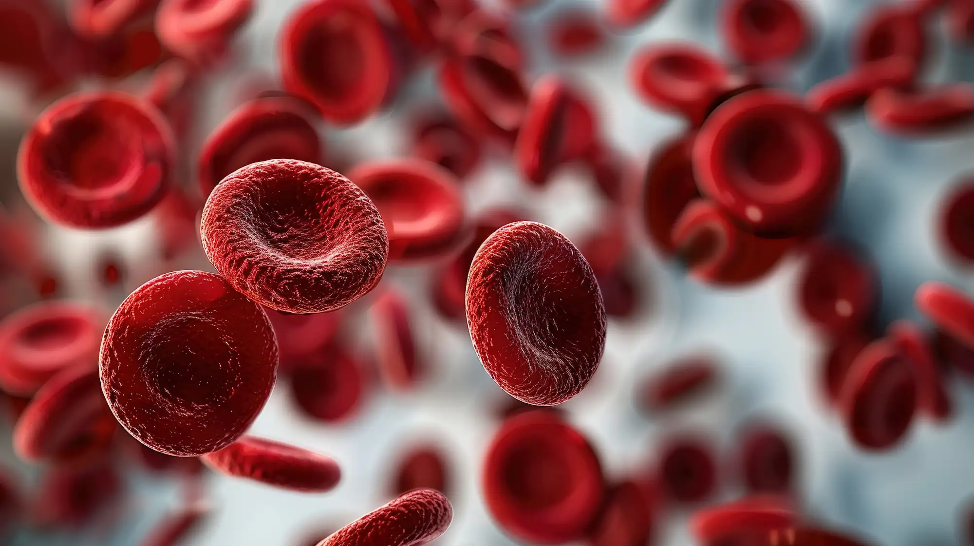 Panel anemije: Kompletan uvid u zalihe gvožđa i kvalitet krvi